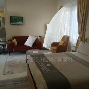 Executive Furnished Studio Apartment in Adjiriganor for Short Let
