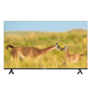 Nasco 50" LED FHD Smart Television