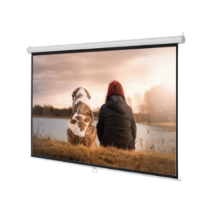 Burotika BW18-244 244cmx244cm Wall Screen
